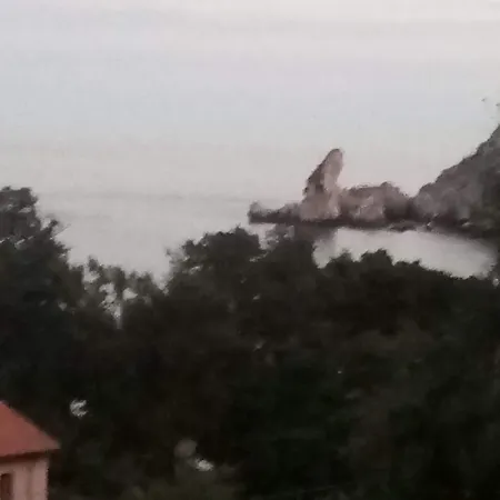 Botel Dolphins Tour Trinacria Escursioni Giardini Naxos