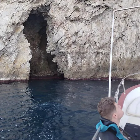 Dolphins Tour Trinacria Escursioni Botel