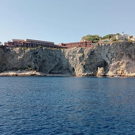 Dolphins Tour Trinacria Escursioni *